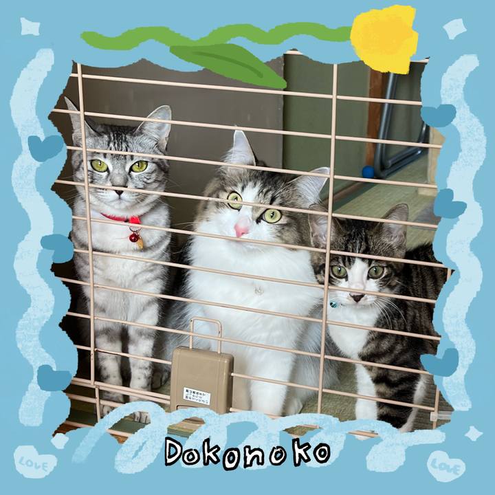 Ed2c8d1f c82a 48c4 8029 af31bd0756bc 1771826710161