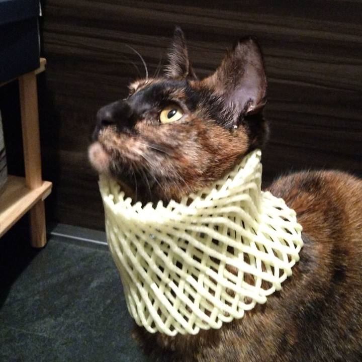 Ed2c91d6 4a5e 4870 ba26 59c59443a25d 1642505285813