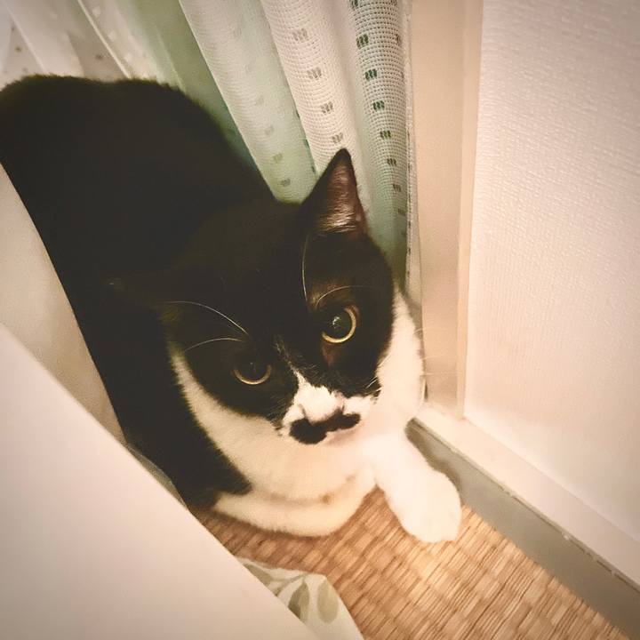 Ed2cbbf3 b9e6 444f 8ded e35e275f61c7 1659619733232