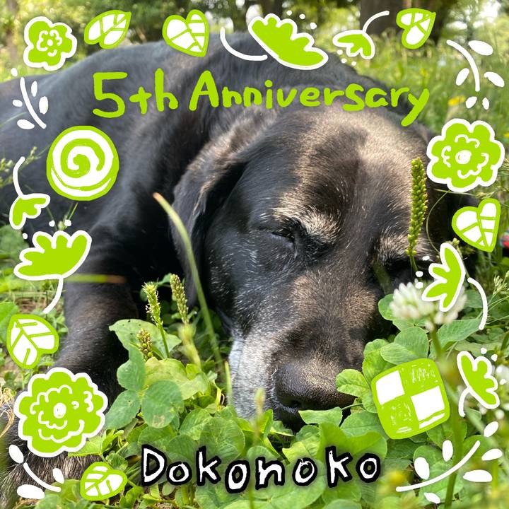 Ed2cdaf3 d75a 44ab bba5 cd85c316f0c7 1623116260170