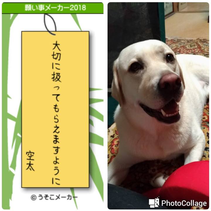 Ed2cebbd 67be 4465 8417 875a03ffc6bb 1530951918843