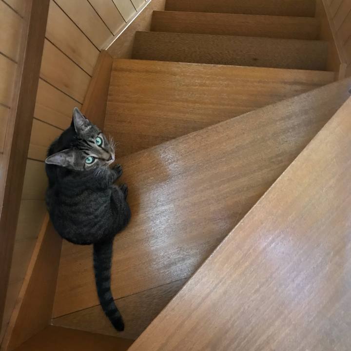 Ed2d0647 fec6 40cb 84f2 8f0e0e93e293 1535503694410