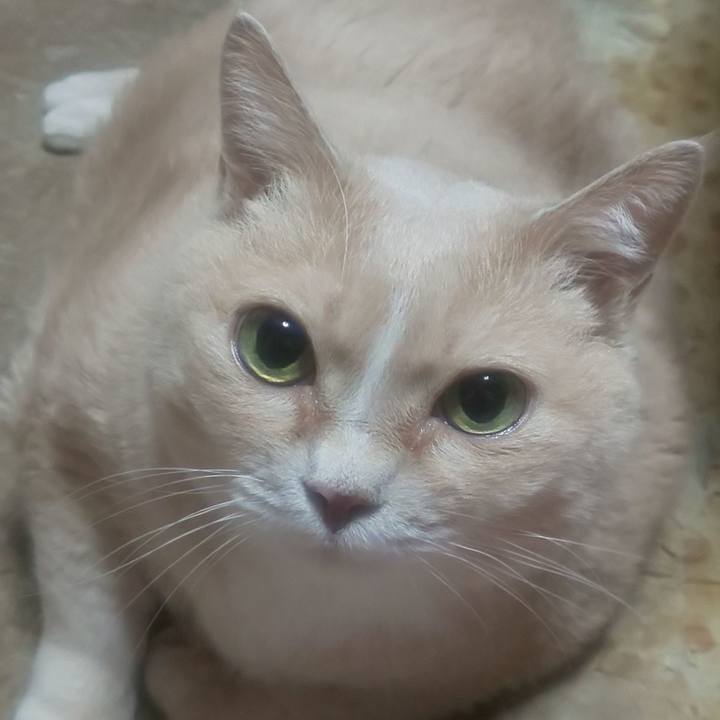 Ed2d37f7 b959 4474 b650 9426c21eaf0d 1750612270857