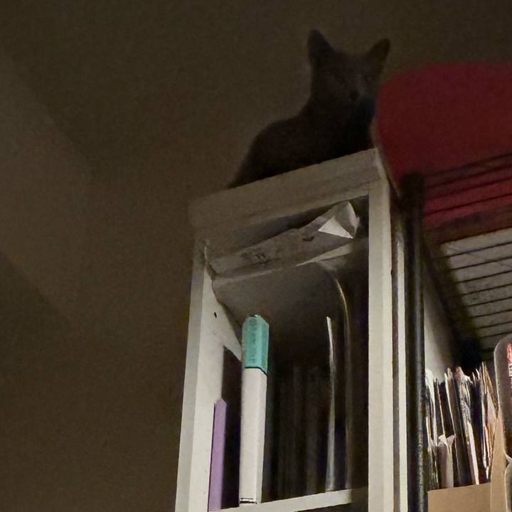 Ed2d3c54 0ac2 4e80 8cb4 9c0368799548 1737118408386