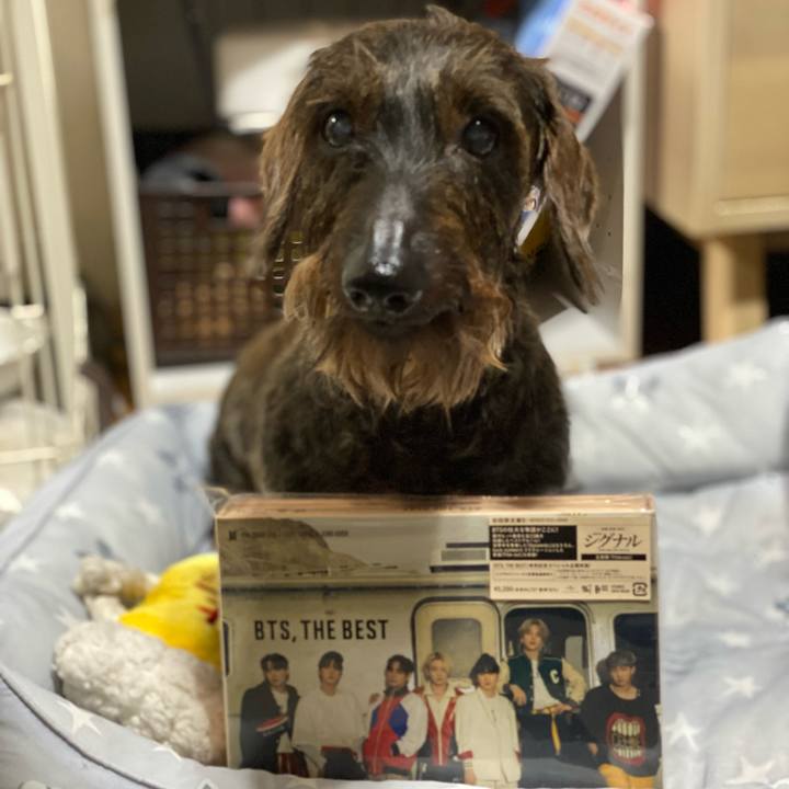 Ed2d40e1 6ac4 4a7c 9723 655b5530aafb 1623764087956