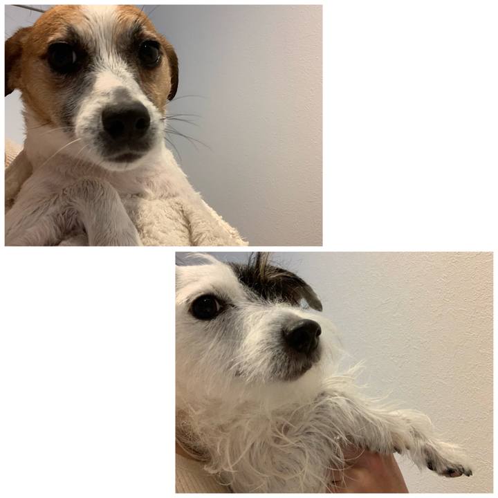 Ed2d62c2 711d 40eb ad7b 72c8130aeed6 1608690517632