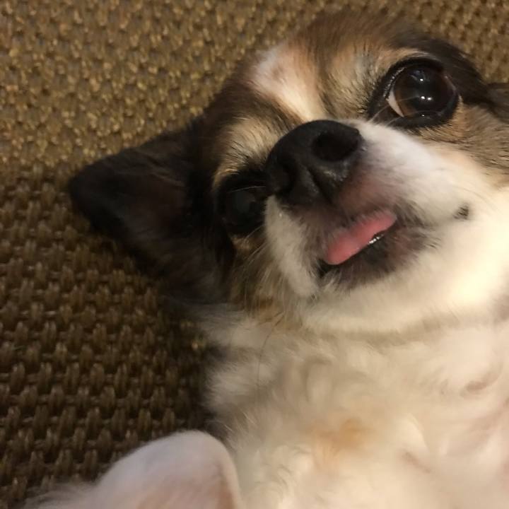 Ed2d65f7 d944 4b03 b60d fdb90b1a0ecd 1629720601558