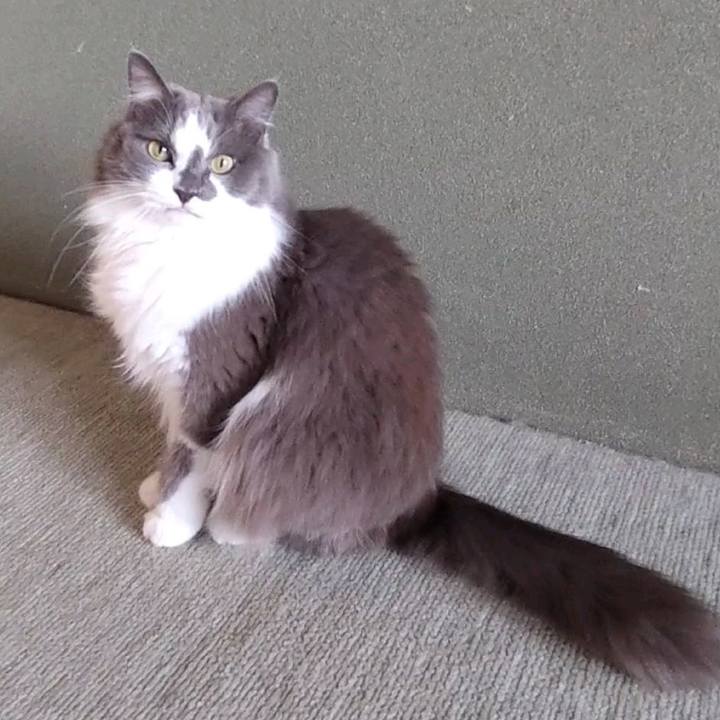 Ed2e0e7e eafa 4b19 9d41 539aa0572f29 1735624372218