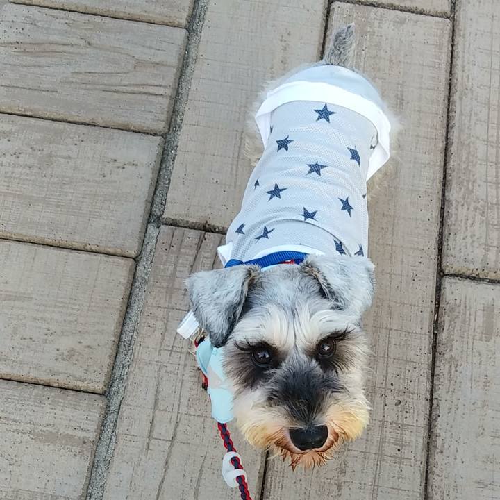 Ed2e402e c5f5 4e4a 83b1 e27290edc52d 1597443160008