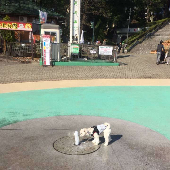 Ed2e4ab0 c4f9 4993 9fb2 857f8ed84771 1509275917834