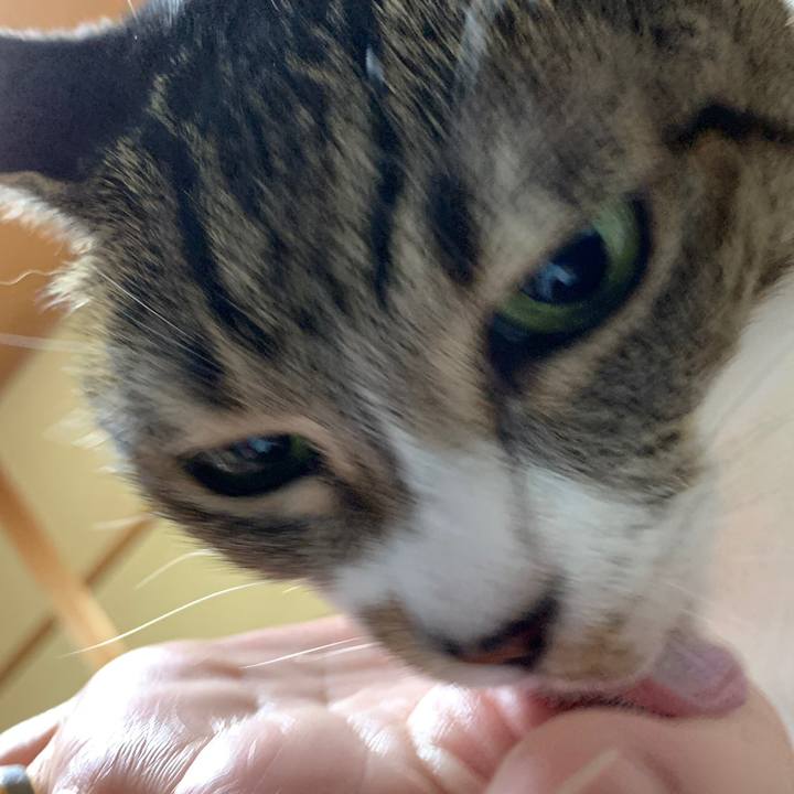 Ed2e6fb0 7bf2 4385 b37b 831e3d4a038f 1566003984166