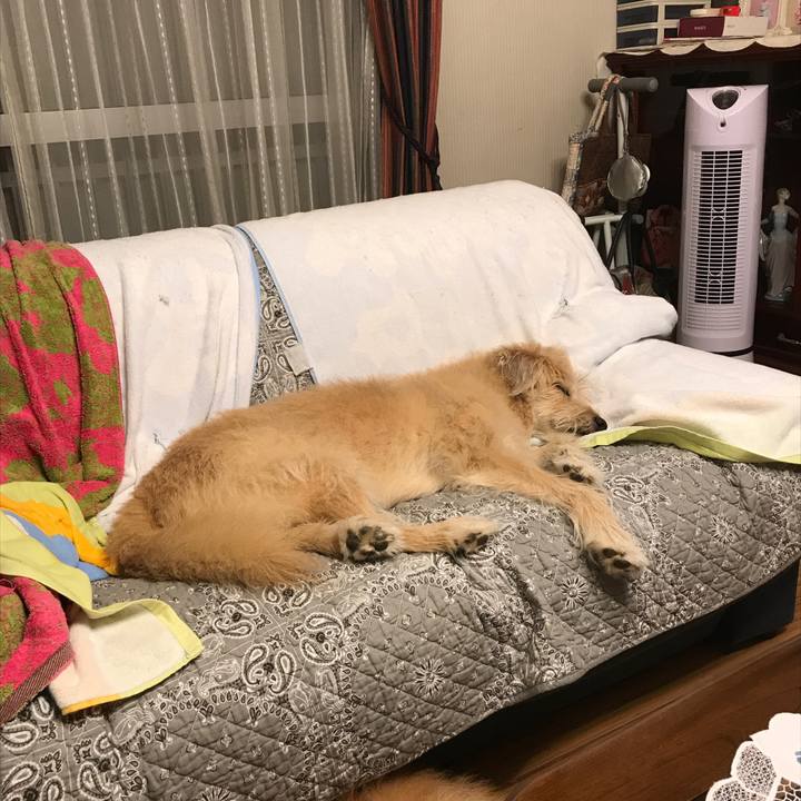 Ed2e9fb2 e3a0 4b96 9b64 7db2930f0829 1537717687566