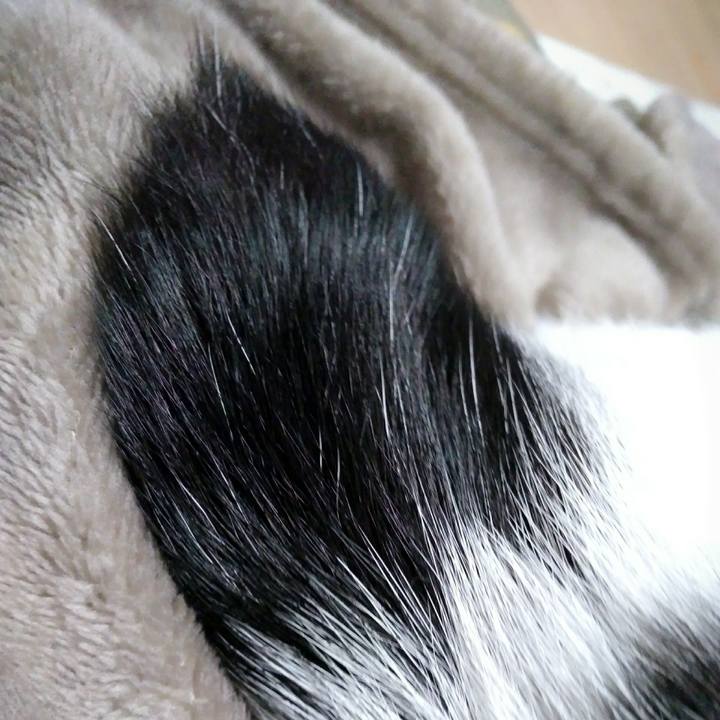 Ed2ea45e 07cc 44e3 afd8 d08cef13cc20 1552045702482