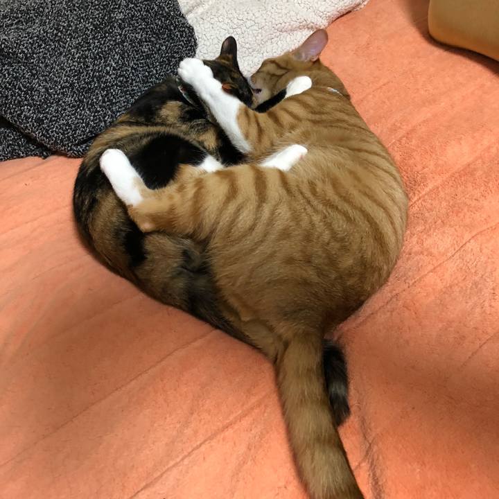 Ed2ee956 431f 468f 85e6 13f2fc12abb0 1573646941533