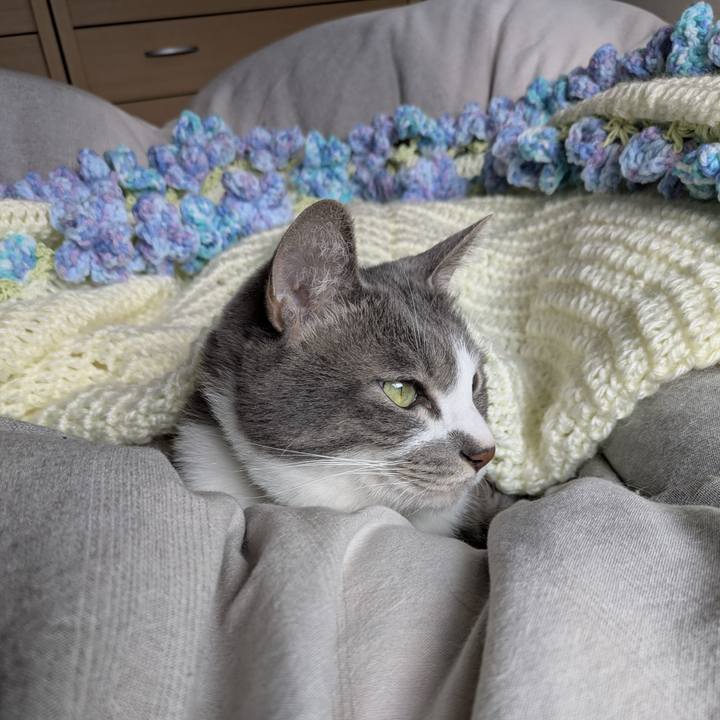 Ed2f3069 7fa3 4223 8187 b6c8f76afcdd 1761955743040