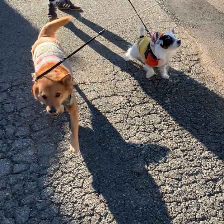 Ed2f3ef9 d078 43d1 aebf e78c852324a4 1734999390917