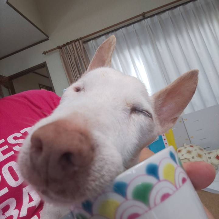 Ed2f9d05 7d08 42f4 9d0b 702cf405b5a0 1599525111424