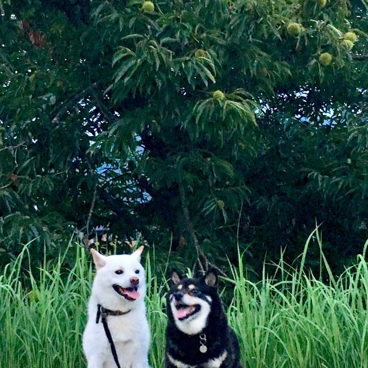 Ed2fc52d 6335 4c6e 80a5 d6ade5e9f0d2 1535624937101