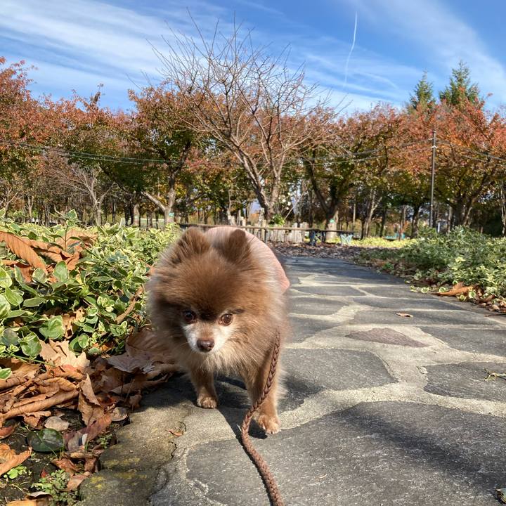 Ed2fe2b6 5bf0 4a93 817a d50d2428193d 1667794421745