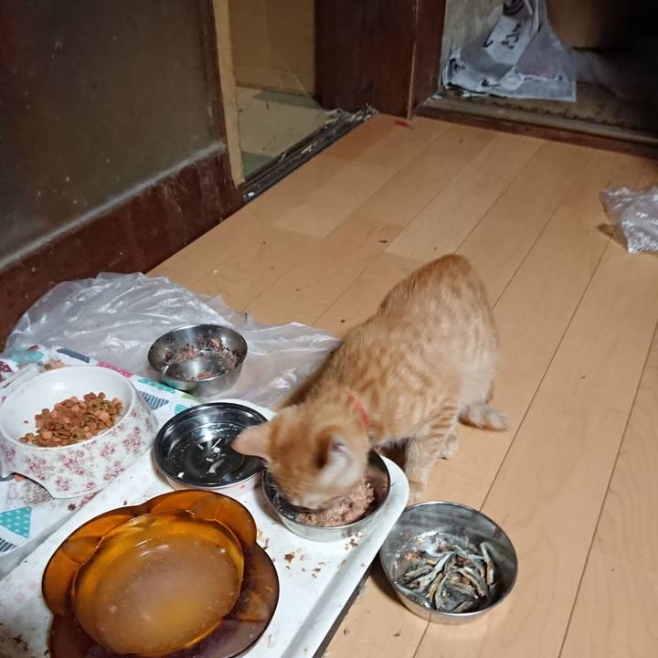 Ed2fe748 79dc 4a13 a01a 43c63d2a96c8 1633552909216