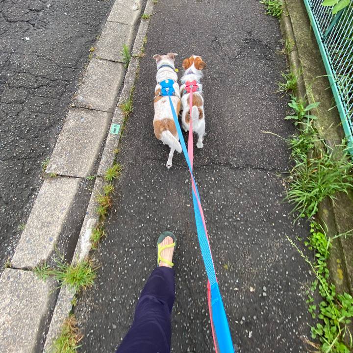 Ed3005c9 dc73 4a44 b05d d98f01686cab 1685750256116