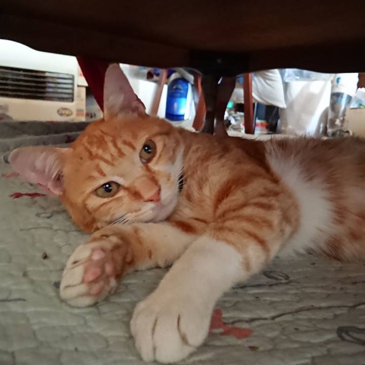 Ed301638 5bb7 4c5d 86e1 e402811f2520 1563687896777