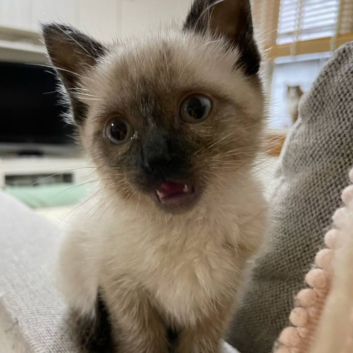 Ed302d46 645b 43de 88c0 5604178c4788 1686599974517