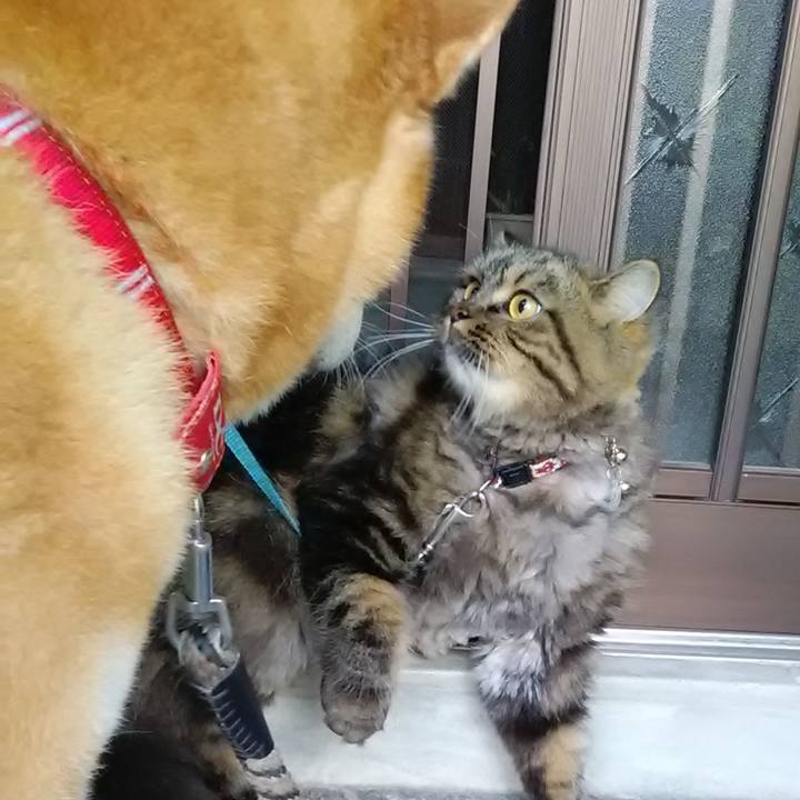 Ed3032fc 2551 4357 a99a 6032bdb4021d 1599954393009