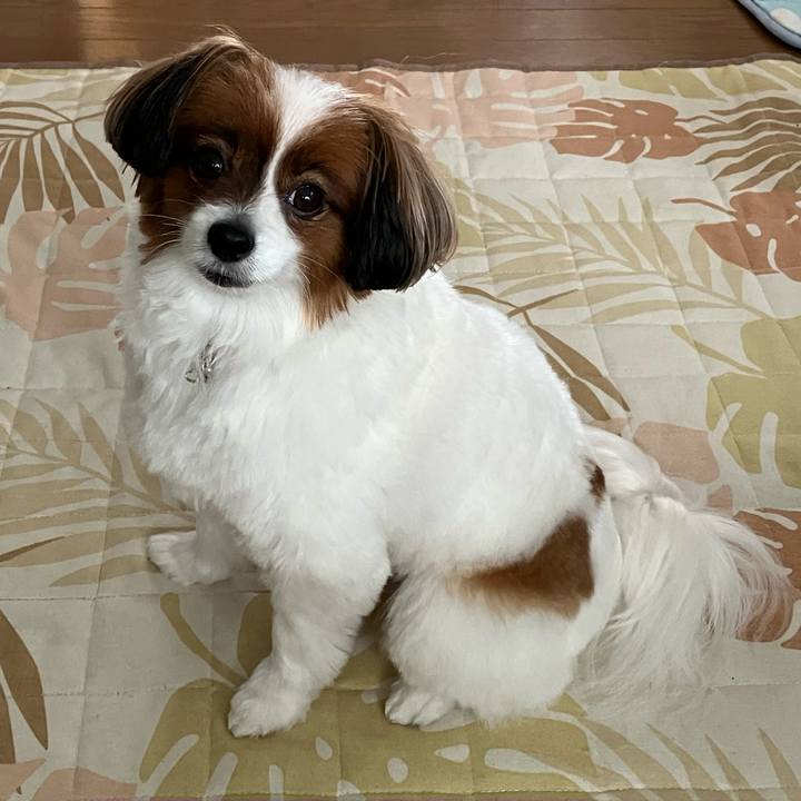 Ed303314 5091 4c7f 8d0d 029f891644cc 1752388234302