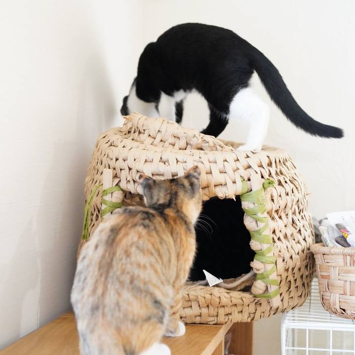 Ed303a9e f53b 4f8a b0ae fbfd280b4325 1573790913996