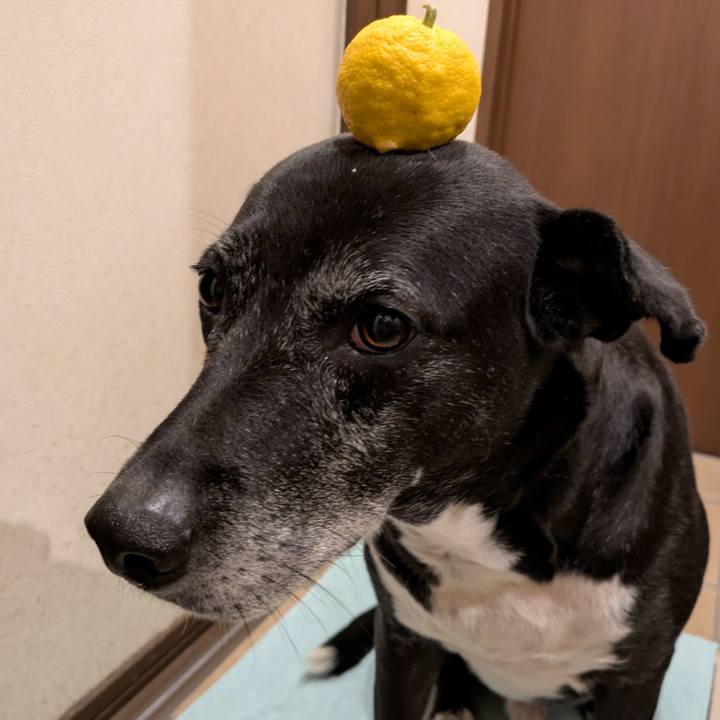 Ed306442 18d5 4529 b8e0 731a29ed60e8 1767266184804