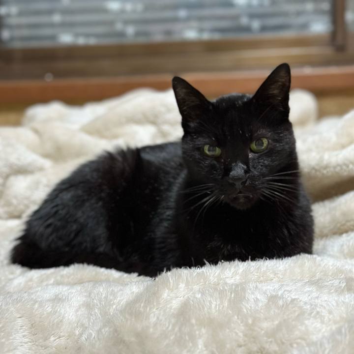 Ed307385 d98c 48e6 a2d0 bc7883d8ddf9 1698546082557