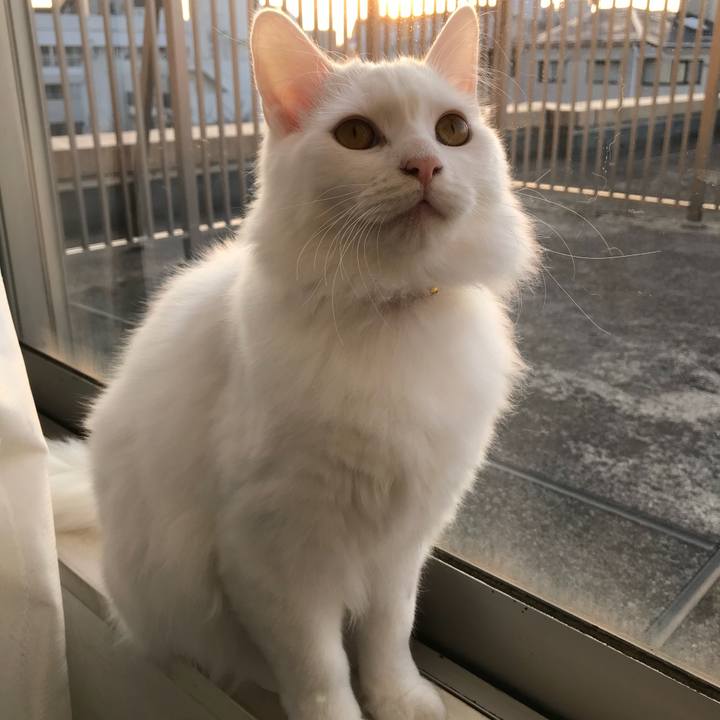 Ed307f36 f16f 4a70 ab76 ab9f2bf48d12 1521977415365