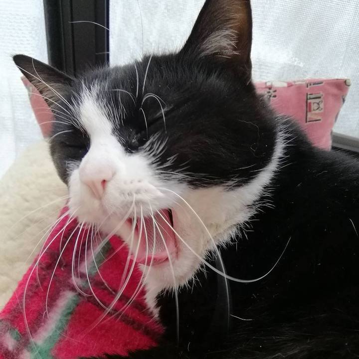 Ed30a919 6328 423c a9e6 fa798d59c981 1614067477973