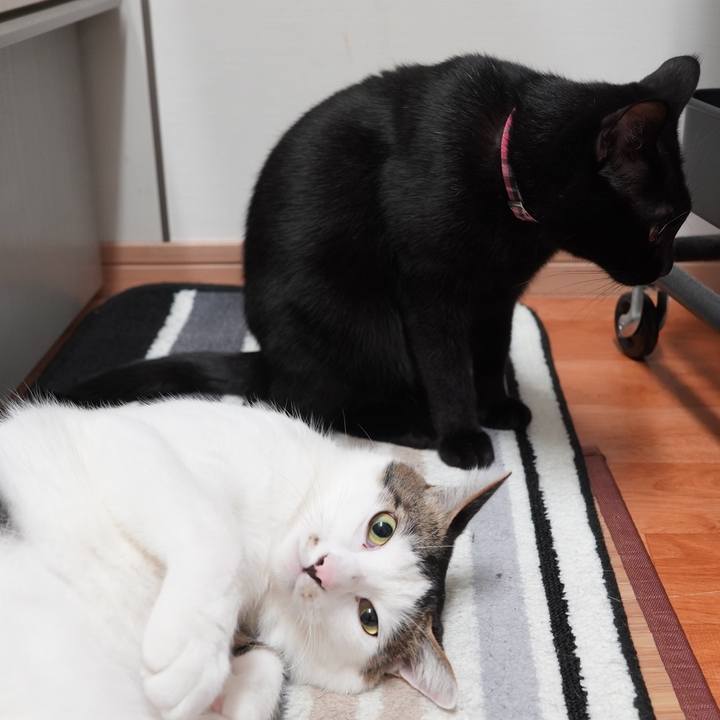 Ed30ae8e f067 401e 88dc 6a2f16a7c433 1604920213833