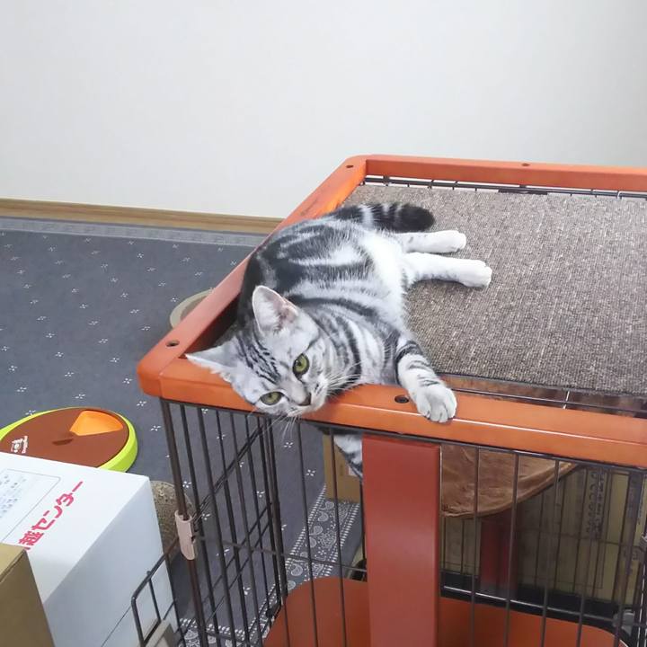 Ed30c1e8 a9c8 46b8 821d 19c620df3571 1537535462548