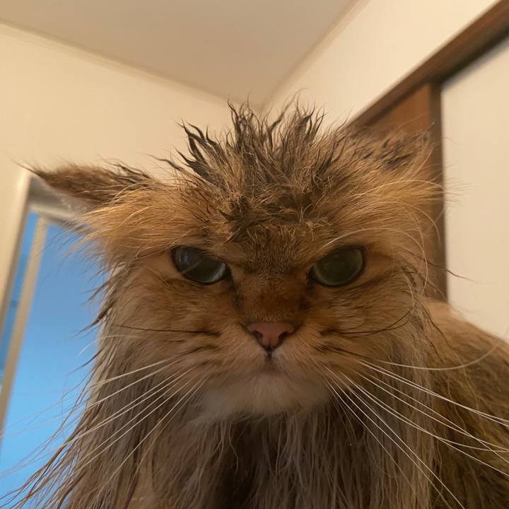 Ed30c711 ad5b 46c0 a4db ae90e248d62e 1584937390601