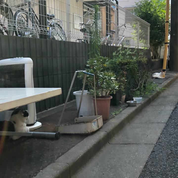 Ed30cbfd d330 419f 952e 751f1e74d9a3 1627887255061