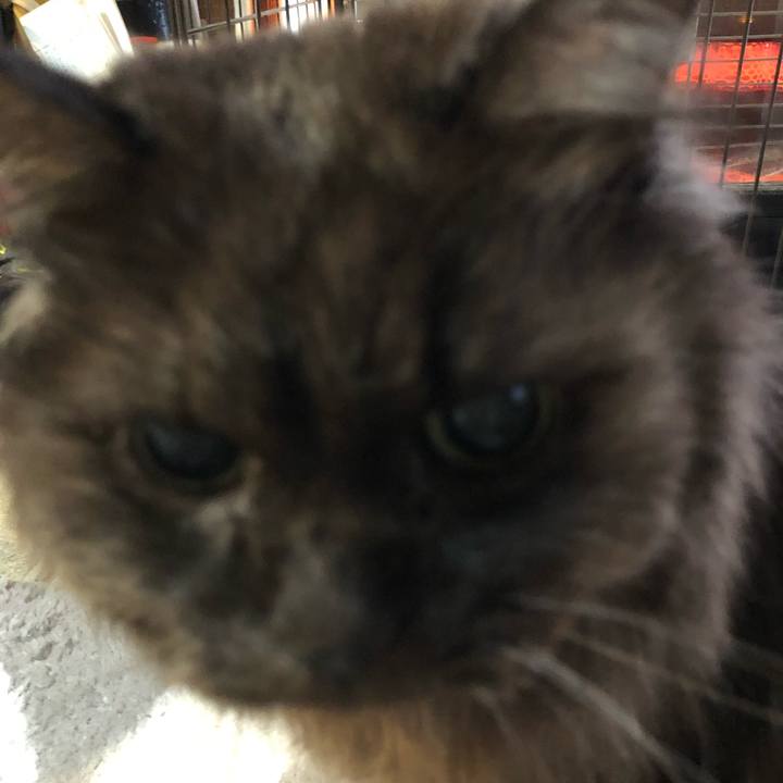 Ed30d961 bfc4 44fb ac62 f1533713c72f 1550700683384