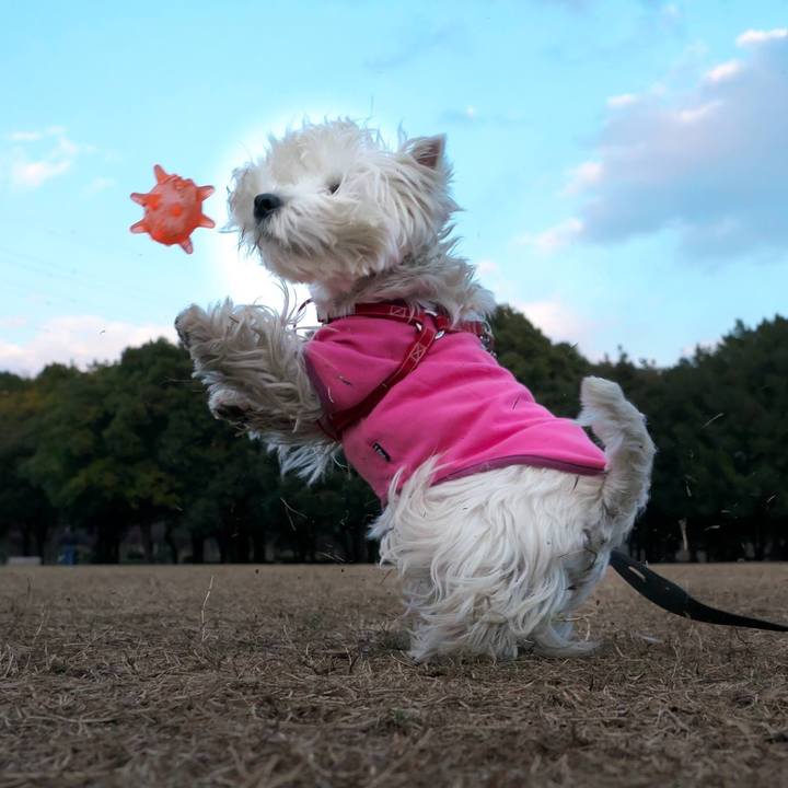 Ed30dde4 3966 450a b00f 883d29ef197a 1517836697567