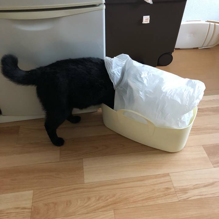 Ed310372 6d8a 416c a1d7 9f5f79e3b249 1532168634543