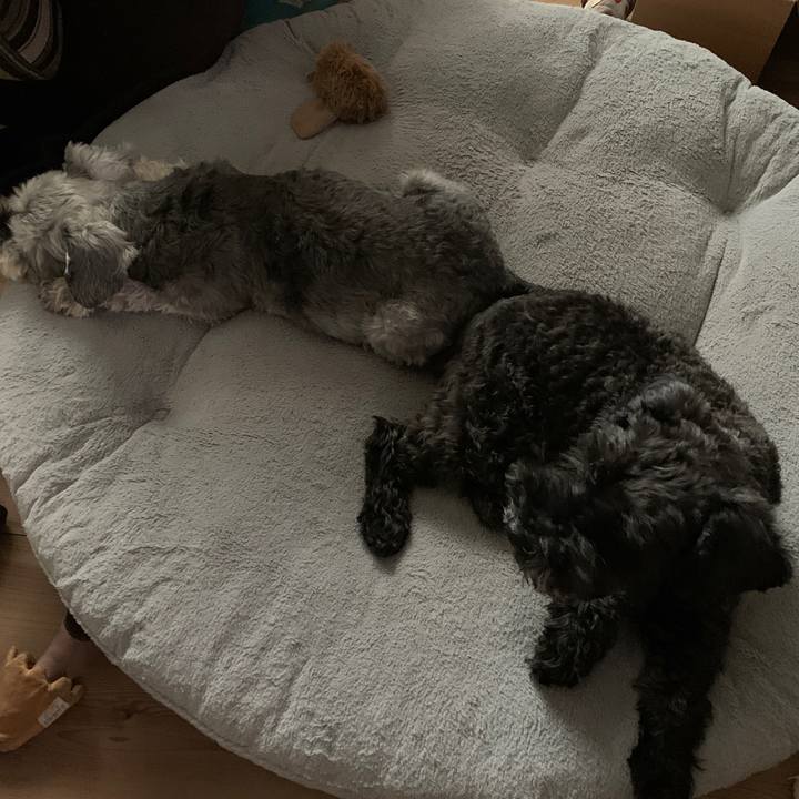 Ed3106f0 9529 44bc b39c 51b9c3d57d0f 1685230406464