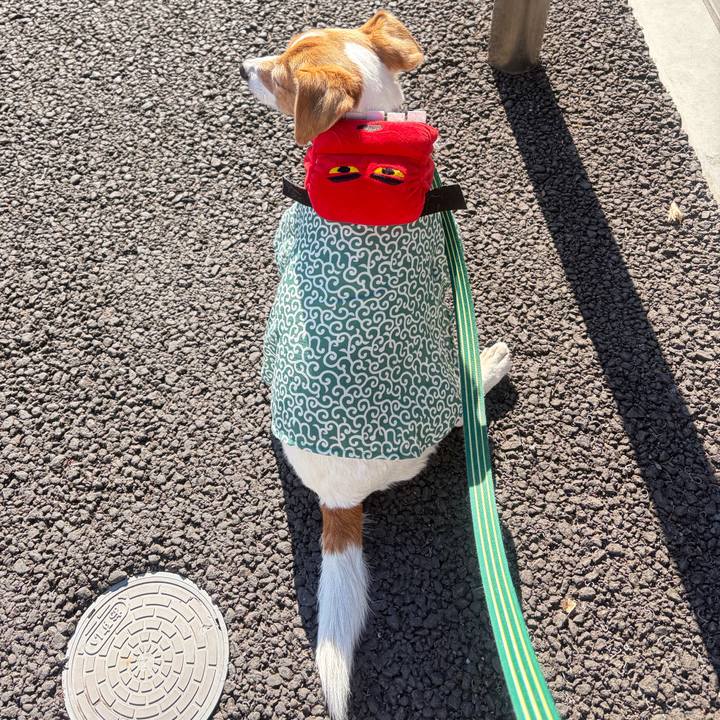 Ed31433b 8d86 4528 89b9 51ece40f6257 1767499975126