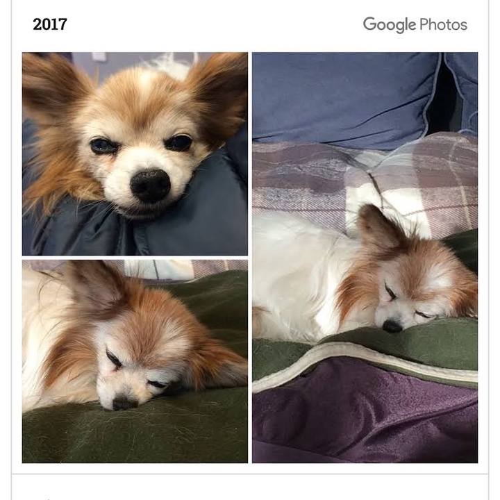 Ed317f2c 4d9c 49ad a758 e2cb068e9fec 1547426533751