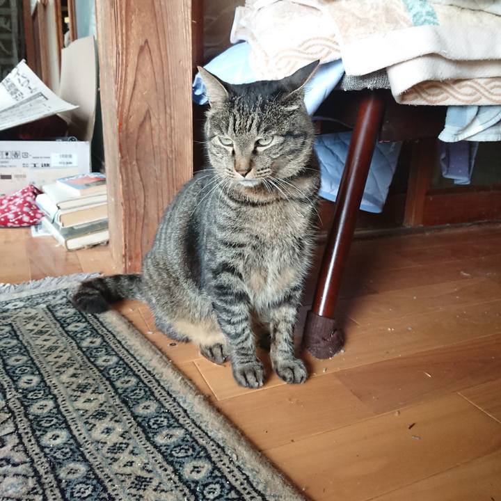 Ed319904 dbef 4bcd a3f7 acfdef47eac8 1658208345625