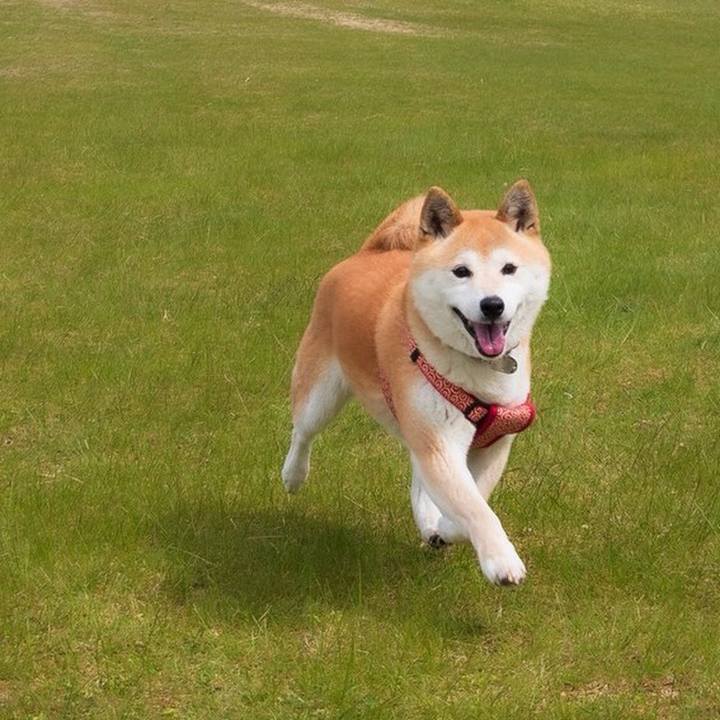 Ed31db33 752f 47c9 b630 8b9a10436b8d 1559441977500