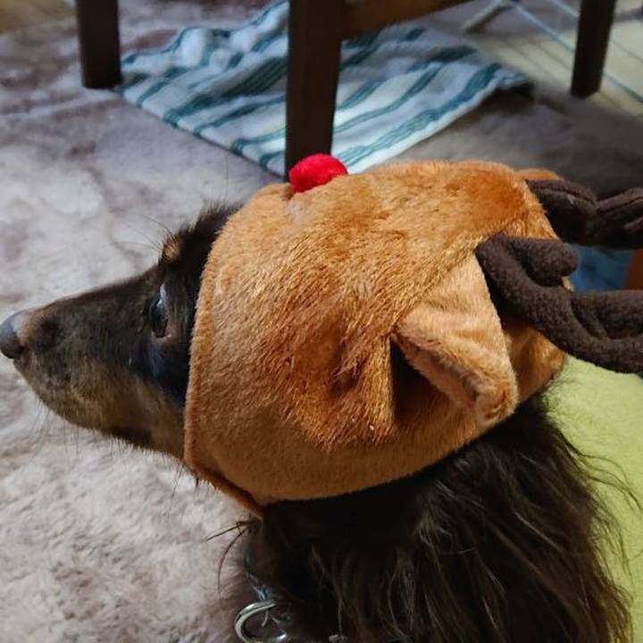 Ed320c2f b400 4798 88cb 3c2dfc8879b0 1764709675033