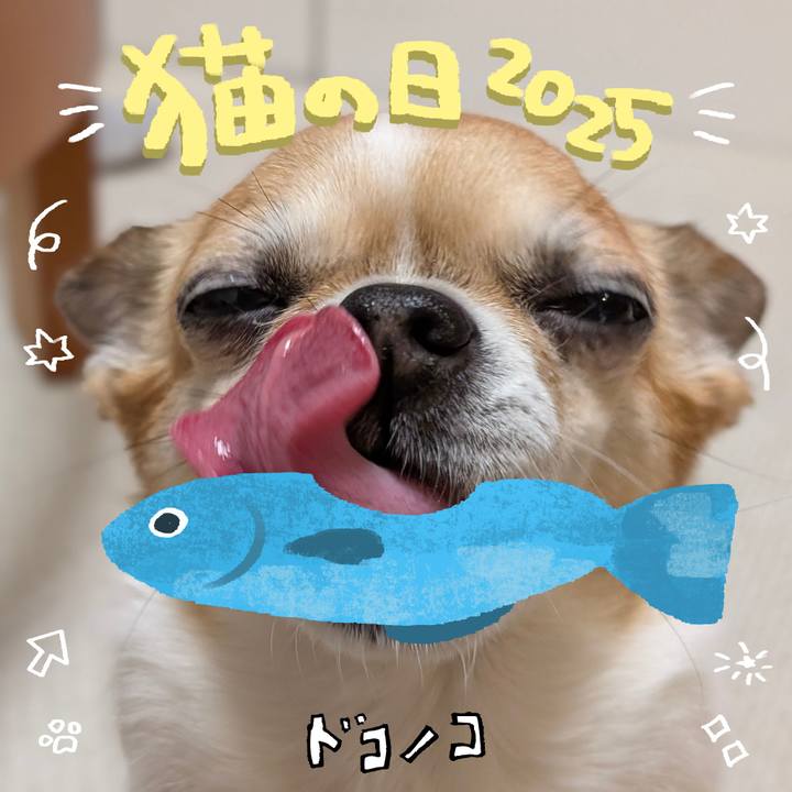 Ed3270f1 862a 4732 8ecd 00ec38d9a83c 1740212545059