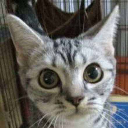 Ed327917 435d 401e 9f34 bbc42396f269 1538222337148