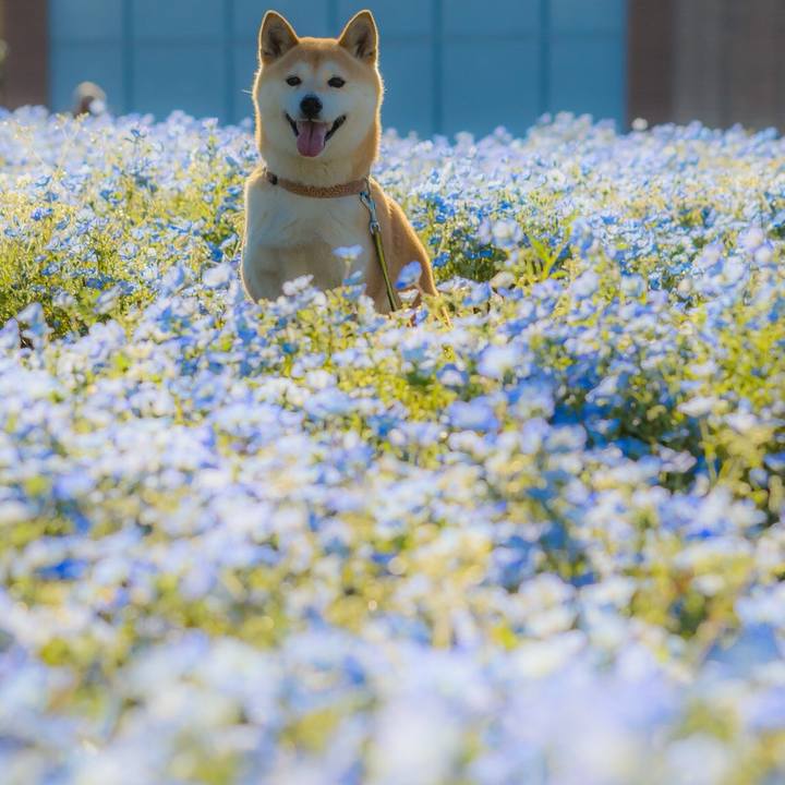 Ed328289 3832 4a94 bcee 224f2ad9ee0c 1524356629754